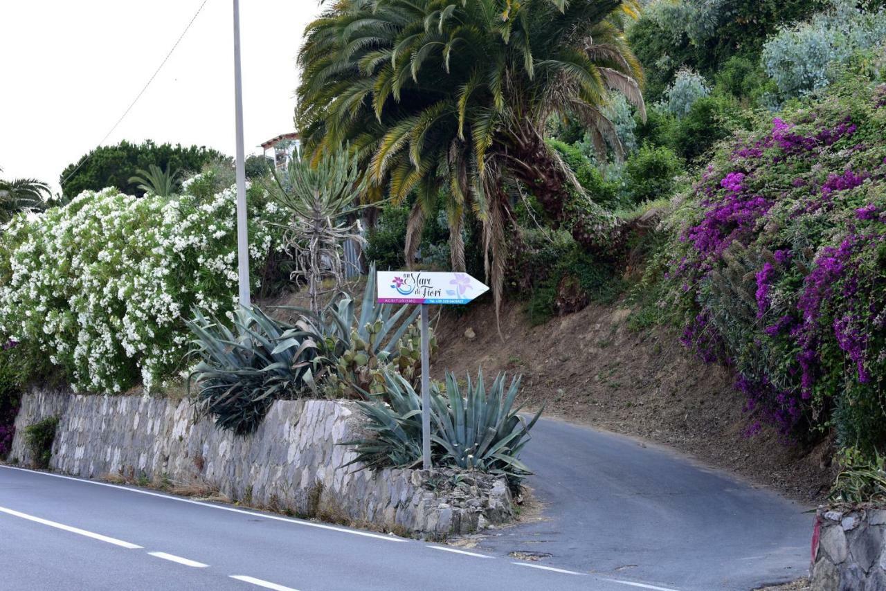 Agriturismo Un Mare Di Fiori Villa Ventimiglia Exterior photo